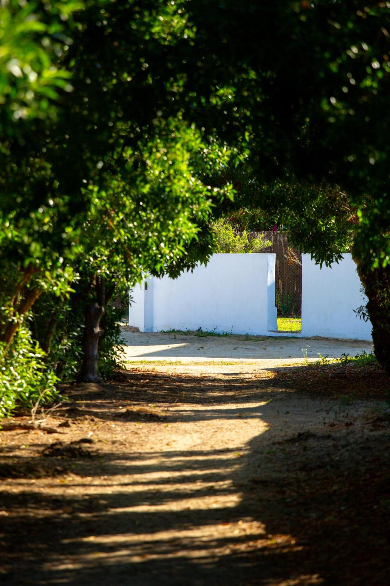 Penzion Casara Seis O Casara Siete - Tu Casa A 100M De La Playa De Zahora Exteriér fotografie