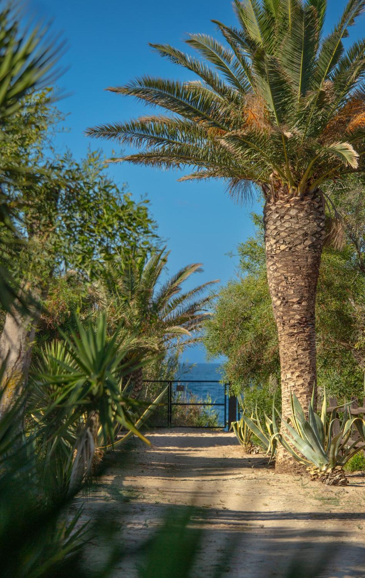 Penzion Casara Seis O Casara Siete - Tu Casa A 100M De La Playa De Zahora Exteriér fotografie