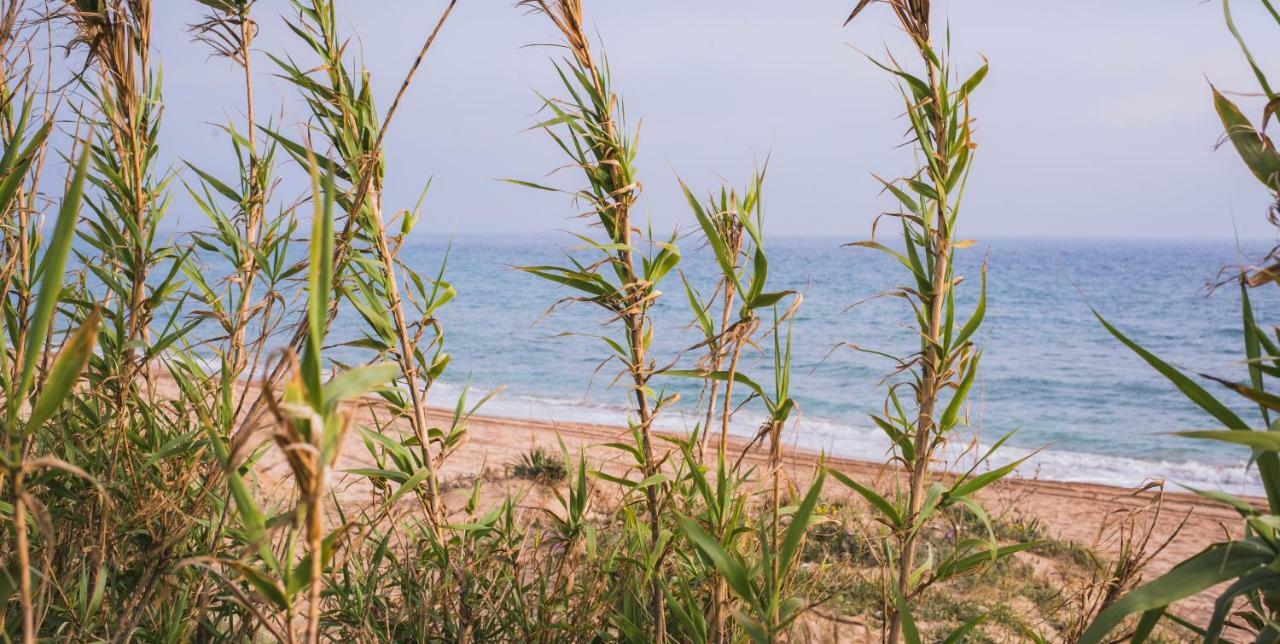 Penzion Casara Seis O Casara Siete - Tu Casa A 100M De La Playa De Zahora Exteriér fotografie