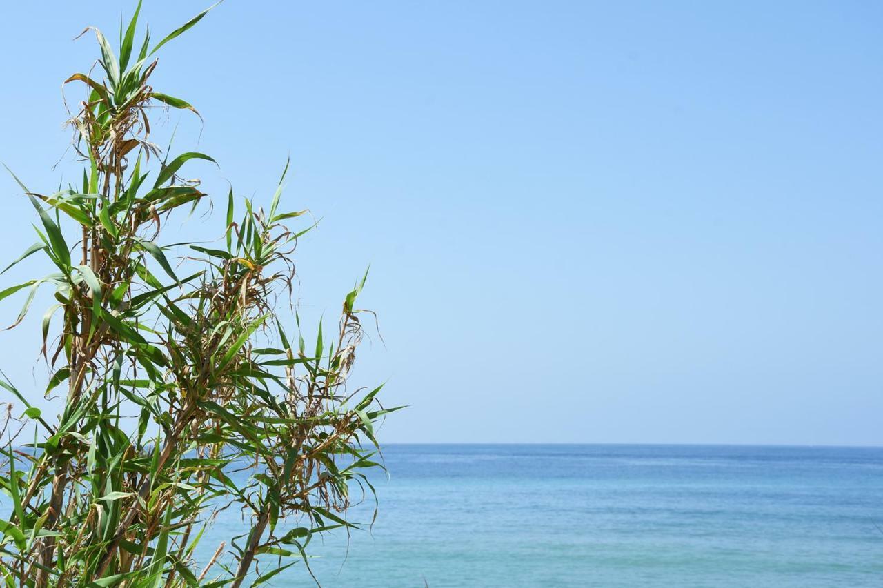 Penzion Casara Seis O Casara Siete - Tu Casa A 100M De La Playa De Zahora Exteriér fotografie