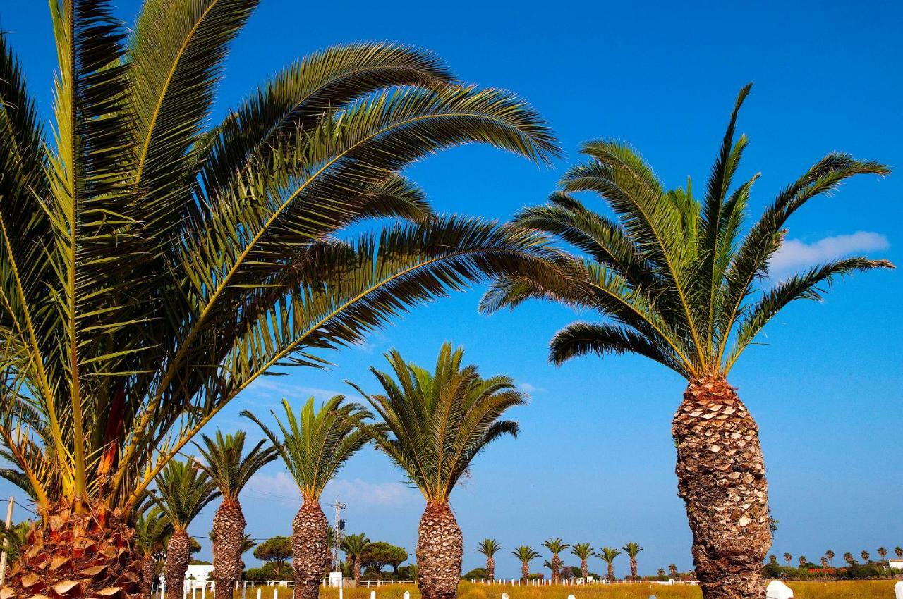 Penzion Casara Seis O Casara Siete - Tu Casa A 100M De La Playa De Zahora Exteriér fotografie