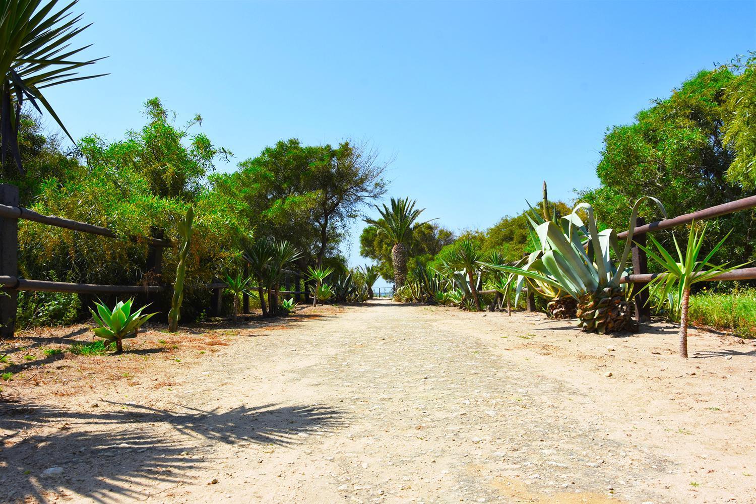 Penzion Casara Seis O Casara Siete - Tu Casa A 100M De La Playa De Zahora Exteriér fotografie