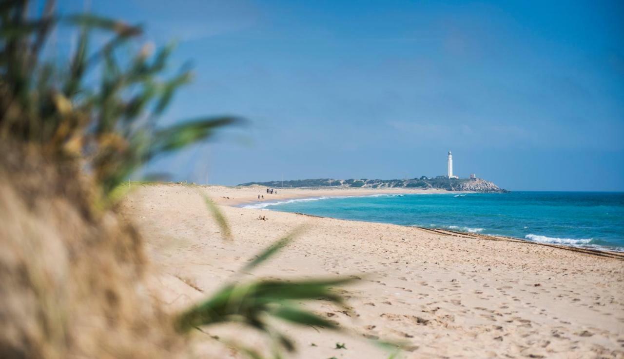 Penzion Casara Seis O Casara Siete - Tu Casa A 100M De La Playa De Zahora Exteriér fotografie