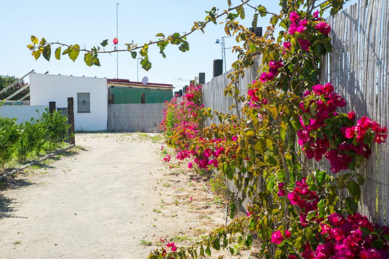 Penzion Casara Seis O Casara Siete - Tu Casa A 100M De La Playa De Zahora Exteriér fotografie