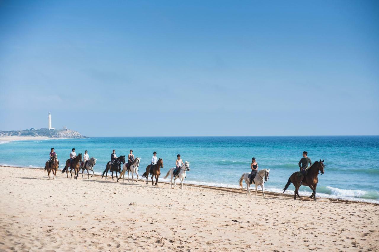 Penzion Casara Seis O Casara Siete - Tu Casa A 100M De La Playa De Zahora Exteriér fotografie